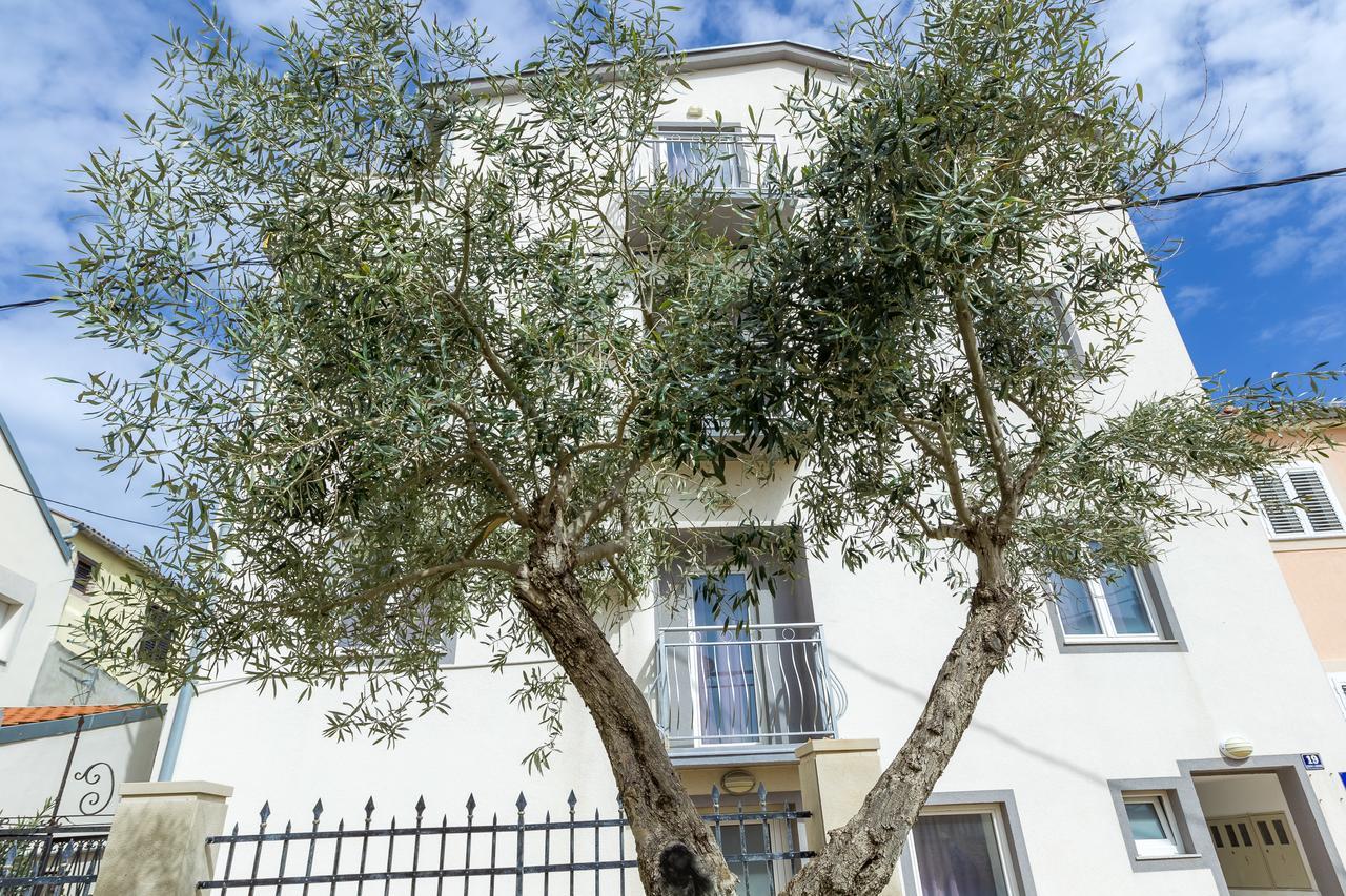 Apartments In City Center Ventus Novalja Εξωτερικό φωτογραφία